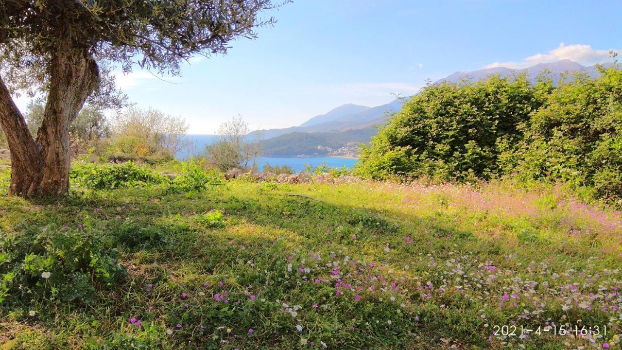 Hotel Emi Hotel Himarë